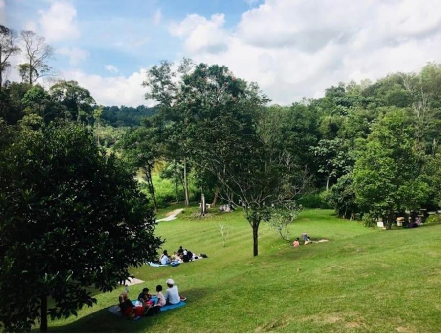 Radia Bukit Jelutong, By Emerald Pangsapuri Shah Alam